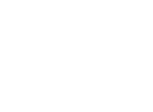Vexsl Corp Logo